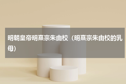 明朝皇帝明熹宗朱由校（明熹宗朱由校的乳母）