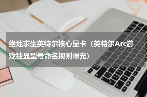 绝地求生英特尔核心显卡（英特尔Arc游戏独显型号命名规则曝光）