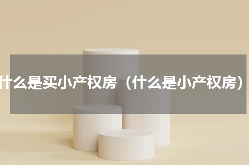 什么是买小产权房（什么是小产权房）