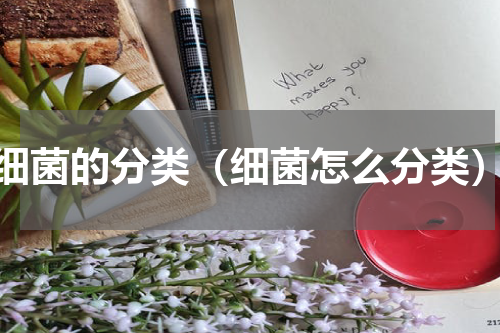 细菌的分类（细菌怎么分类）