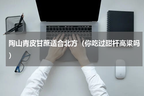 陶山青皮甘蔗适合北方（你吃过甜杆高粱吗）