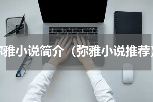 弥雅小说简介（弥雅小说推荐）