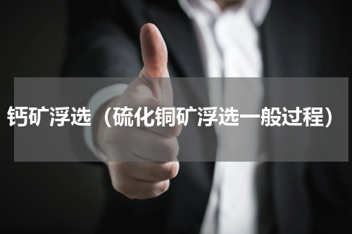 钙矿浮选（硫化铜矿浮选一般过程）