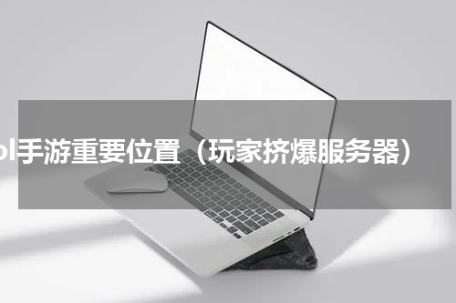 lol手游重要位置（玩家挤爆服务器）