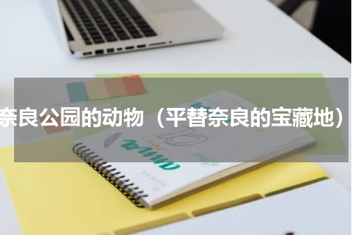 奈良公园的动物（平替奈良的宝藏地）