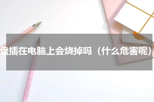 u盘插在电脑上会烧掉吗（什么危害呢）