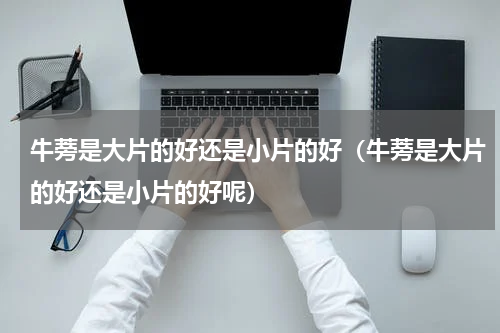 牛蒡是大片的好还是小片的好（牛蒡是大片的好还是小片的好呢）