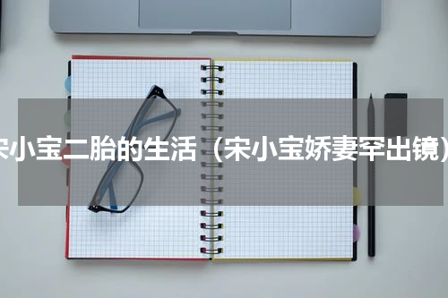 宋小宝二胎的生活（宋小宝娇妻罕出镜）