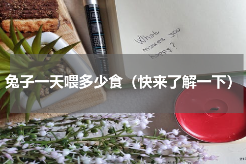 兔子一天喂多少食（快来了解一下）