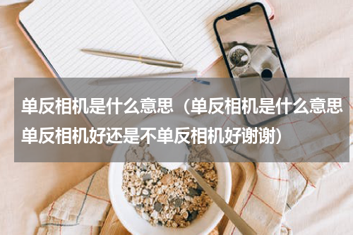 单反相机是什么意思（单反相机是什么意思单反相机好还是不单反相机好谢谢）