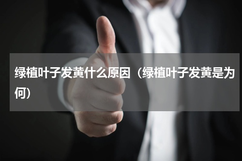绿植叶子发黄什么原因（绿植叶子发黄是为何）