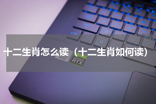 十二生肖怎么读（十二生肖如何读）