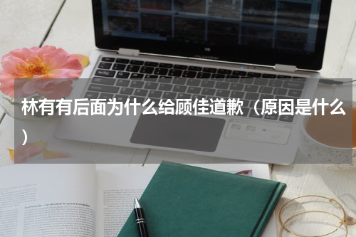 林有有后面为什么给顾佳道歉（原因是什么）