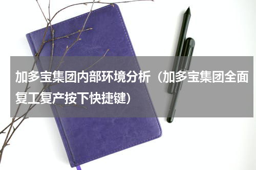 加多宝集团内部环境分析（加多宝集团全面复工复产按下快捷键）