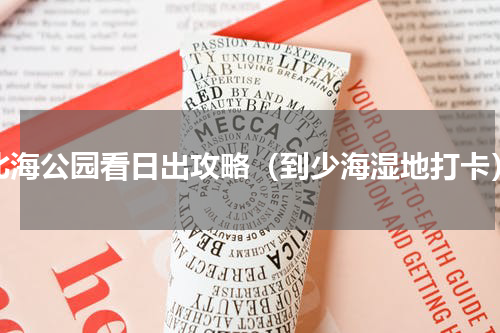 北海公园看日出攻略（到少海湿地打卡）