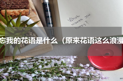 勿忘我的花语是什么（原来花语这么浪漫）