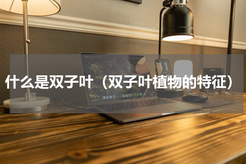 什么是双子叶（双子叶植物的特征）