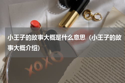 小王子的故事大概是什么意思（小王子的故事大概介绍）