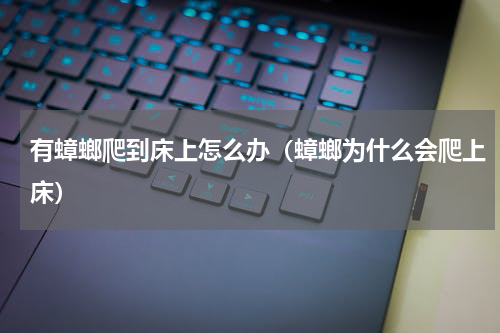 有蟑螂爬到床上怎么办（蟑螂为什么会爬上床）
