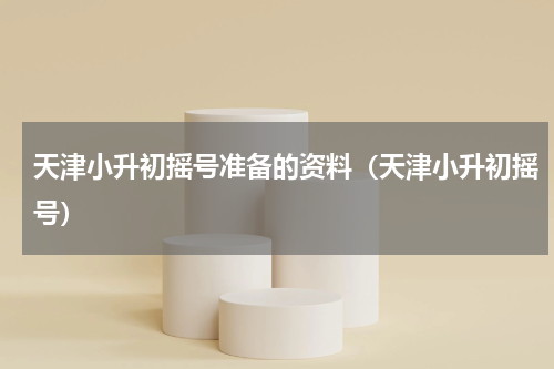 天津小升初摇号准备的资料（天津小升初摇号）