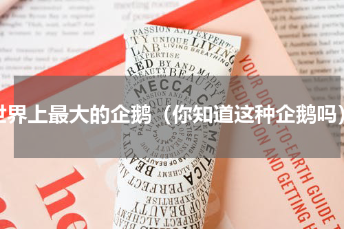 世界上最大的企鹅（你知道这种企鹅吗）