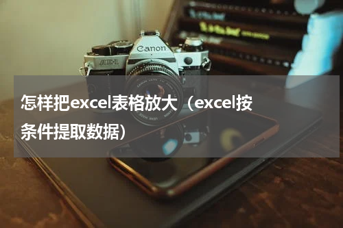 怎样把excel表格放大（excel按条件提取数据）