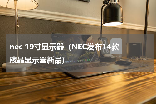 nec 19寸显示器（NEC发布14款液晶显示器新品）