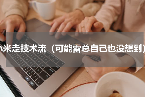 小米走技术流（可能雷总自己也没想到）