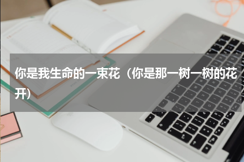 你是我生命的一束花（你是那一树一树的花开）