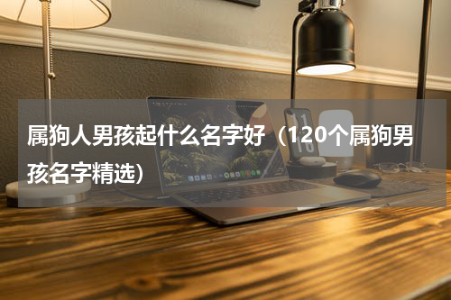 属狗人男孩起什么名字好（120个属狗男孩名字精选）