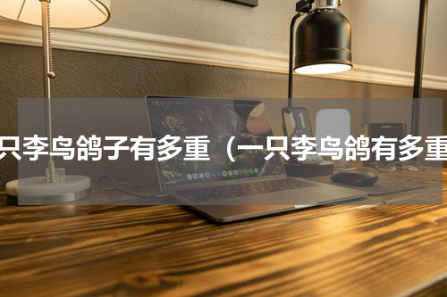 一只李鸟鸽子有多重（一只李鸟鸽有多重）