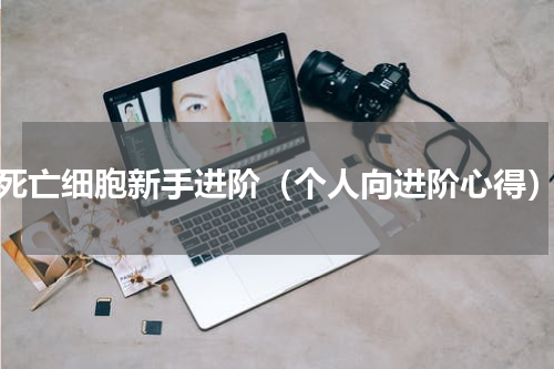 死亡细胞新手进阶（个人向进阶心得）