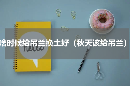 啥时候给吊兰换土好（秋天该给吊兰）