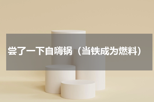 尝了一下自嗨锅（当铁成为燃料）