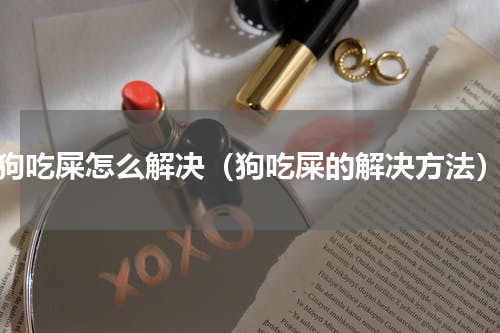 狗吃屎怎么解决（狗吃屎的解决方法）