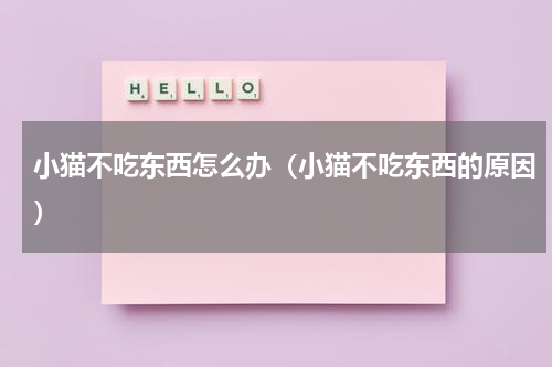 小猫不吃东西怎么办（小猫不吃东西的原因）