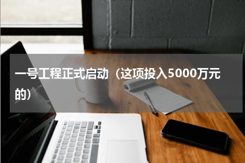 一号工程正式启动（这项投入5000万元的）