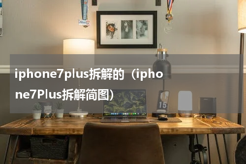 iphone7plus拆解的（iphone7Plus拆解简图）