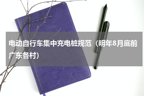电动自行车集中充电桩规范（明年8月底前广东各村）