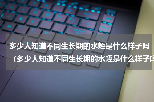 多少人知道不同生长期的水蛭是什么样子吗（多少人知道不同生长期的水蛭是什么样子吗）