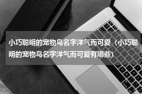 小巧聪明的宠物鸟名字洋气而可爱（小巧聪明的宠物鸟名字洋气而可爱有哪些）