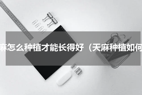 天麻怎么种植才能长得好（天麻种植如何）