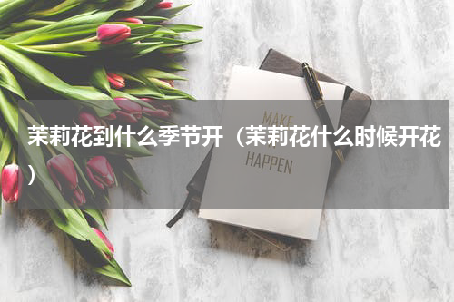 茉莉花到什么季节开（茉莉花什么时候开花）