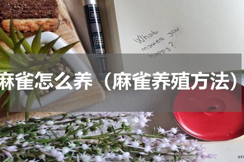 麻雀怎么养（麻雀养殖方法）