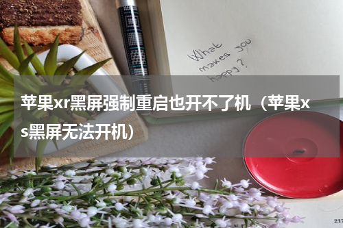 苹果xr黑屏强制重启也开不了机（苹果xs黑屏无法开机）