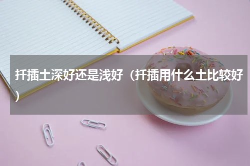 扦插土深好还是浅好（扦插用什么土比较好）