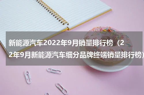 新能源汽车2022年9月销量排行榜（22年9月新能源汽车细分品牌终端销量排行榜）
