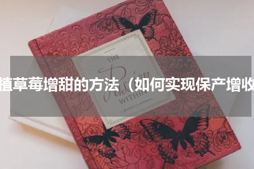 种植草莓增甜的方法（如何实现保产增收）