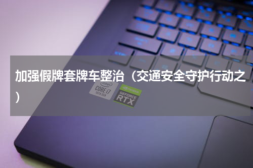 加强假牌套牌车整治（交通安全守护行动之）