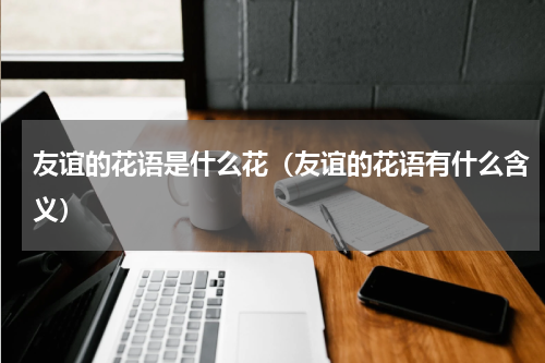 友谊的花语是什么花（友谊的花语有什么含义）